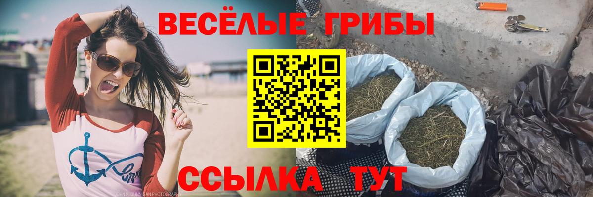 Псилоцибиновые грибы мицелий Муравленко